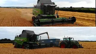 Atkins Demo Fendt 5255L Combine cutting spring Barley
