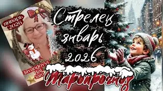 Стрельцы ♐ в январе 26🌠. Лавандовый рай таро 🔮. #стрелец #таропрогноз #раскладтаро #гадание #таро 