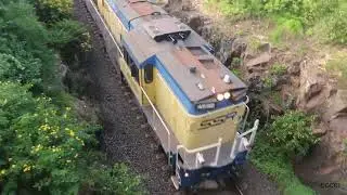 Best of loco consists on trackwork transfer's (mainly T9, T4 and South Coast)