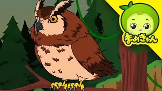 イヌワシ VS ワシミミズク | 動物バトル | まめきゅん MAMEKYUNN