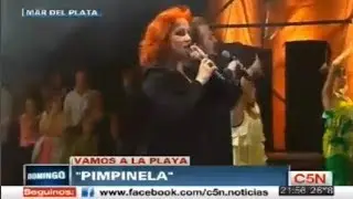 Pimpinela en Mar del Plata (2013)