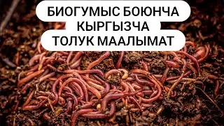 #Биогумыс #Био #Аксы #жалалабад