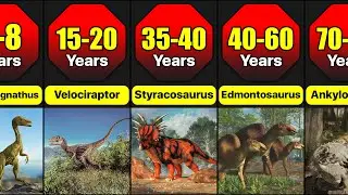 Dinosaur Lifespan Comparison | How Long Different Dinosaurs Lived #dinosaur #jurassicworld #wildlife