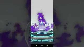 Pokemon Go Evolution - Shadow Ducklett ️➡️ Shadow Swanna