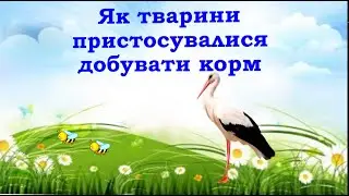 ЯДС 16 01