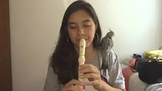 Final Fantasy VII - Cosmo Canyon - FLAUTA DOCE COVER (COM NOTAS)