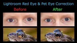 Simply Remove Red Eye and Pet Eye from Photos in Lightroom