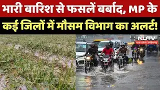 MP Rain Alert: Shivpuri, Ujjain समेत कई जिलों में भारी बारिश, जानें अपने शहर का हाल? Weather Update