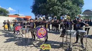 🎶VALS ALEJANDRA/ MUERTEADA 2025 LOS CHOCOS😎
