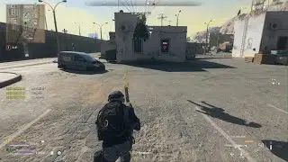 Crow decoy from above