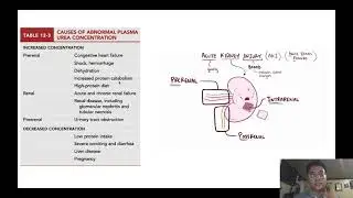 RENAL FUNCTION PART 2