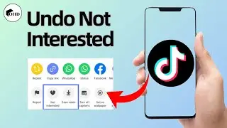 How to Undo Not Interested in TikTok | Restore Your Feed (2025)