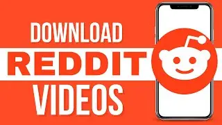 How To Download Videos From Reddit 2024
