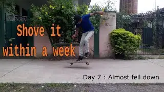 Shove it progression - Quarantine Skateboarding