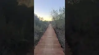Otay Valley Regional Park SDMTB bridges