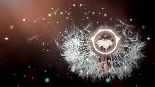 ⚜️ Danny Evo & potatofries  - Blissful Memories 🎧 {Copyright Free}  🎵
