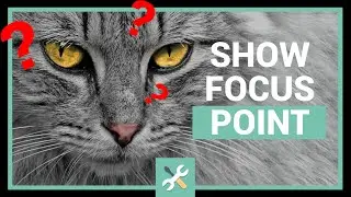 Show Focus Points : plugin Lightroom pour vérifier la mise au point