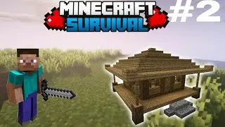 i built my first home in Minecraft Survival Series part #2