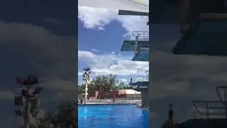 Lauren Gryboski Back Dive Pike 201b 5m Platform Diving