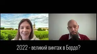Бордо 2022 - великий винтаж?