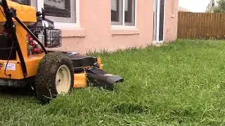 Cub Cadet CC 800 mower mowing weedy sedge grass back yard