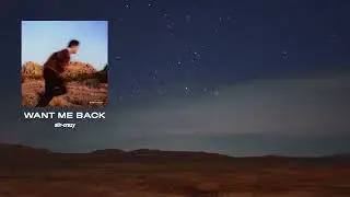 Want Me Back - Austin Carr (Visualizer)