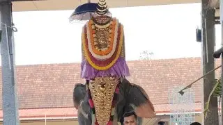 SKET vlogs is live! ആറന്മുള പാർത്ഥസാരഥി ക്ഷേത്രത്തിലെ ഉത്സവത്തിന്റെ ഭാഗമായി നടന്ന കാഴ്ച്ചശ്രീബലി