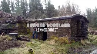 Rugged Scotland - Lennox Forest - Lovers Leap