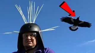 DazzaJay Builds: Magpie Defender Helmet