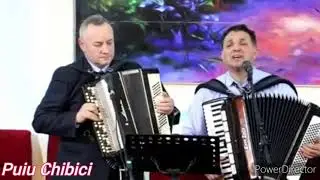 Aruncă-ți pâinea pe ape - Puiu Chibici