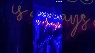 🔥 Coco Bongo Show: Non-Stop Fun & Entertainment! 🤩 | Must-Watch Moments 🎥 #shorts #mexico #cancun