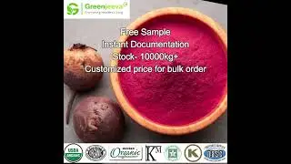 USDA Approved Bulk Organic Beetroot Powder | Greenjeeva