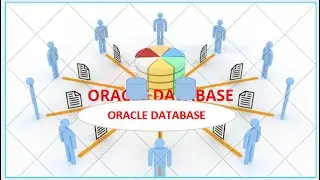 Oracle General Introduction - Oracle as a Career Partner