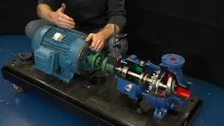 ANSI Centrifugal Pump Alignment