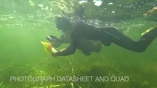 Find quadrat location and score seagrass abundance, composition, and canopy height
