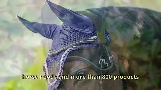 Horse & Dog Suppliers Factory-Request your custom OEM quote today!
