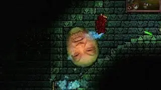 a Canadian and an Asian play Terraria...again