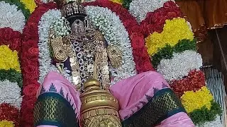 Garuda Sevai| Ratha Saptami|Temple Events | Perumal Temples