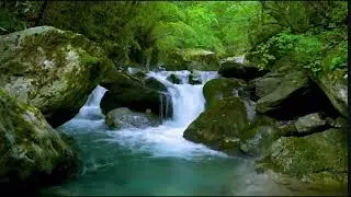 Relaxing river running for one hour!!!