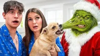 Наша собака кусает Гринча!