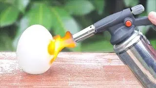 EXPERIMENT EGG VS GAS TORCH