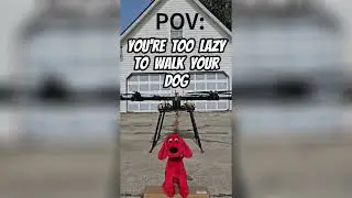Drone Life Hack: Walk your dog with your drone