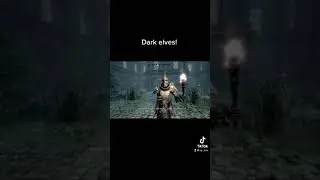 Dark elves are not evil (sometimes)!