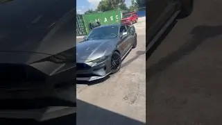 LOUD Mustang GT Exhaust - Borla S Type + Steeda H Pipe 😮&zwj;💨 #shorts