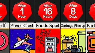 Timeline: What If Electricity Went Out For A Year