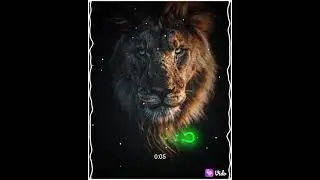 english song LION)ATTITUDE😈😈😈😈😈MUSIC BY (NCS)