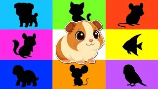 Pets - Guess The Animal by Shadow - Rocklets