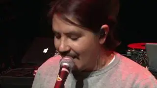Asian Hawk (UK) IDA 2018 SHOW CATEGORY