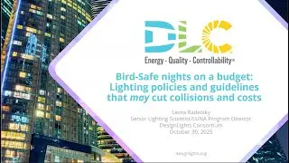 &ldquo;Lighting policies and guidelines that may* cut collisions and costs&rdquo; Leora Radetsky