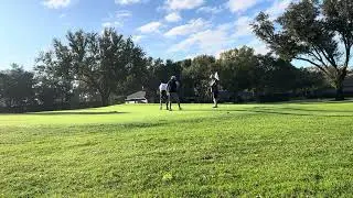 Chip and putt for par on 3